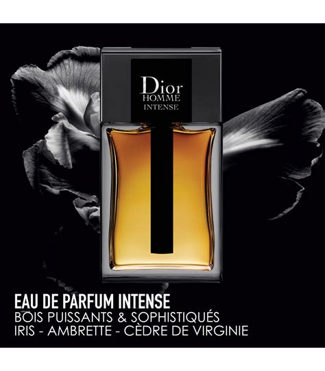 dior homme intense analise|Dior intense homme boots.